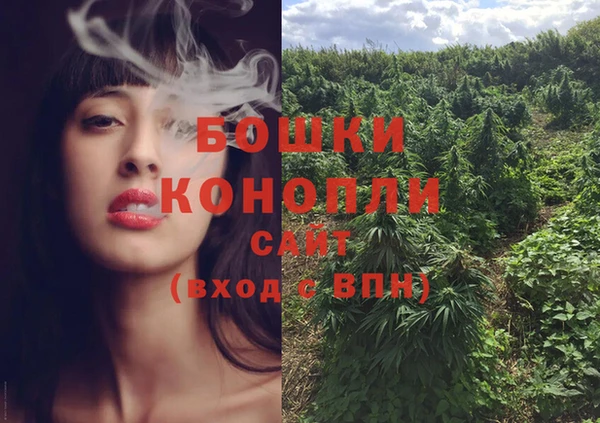 молекула духа Лагань
